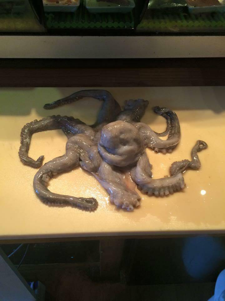 Shokai Sushi | restaurant | 1115 N Roosevelt Ave, Burlington, IA 52601, USA | 3197580006 OR +1 319-758-0006