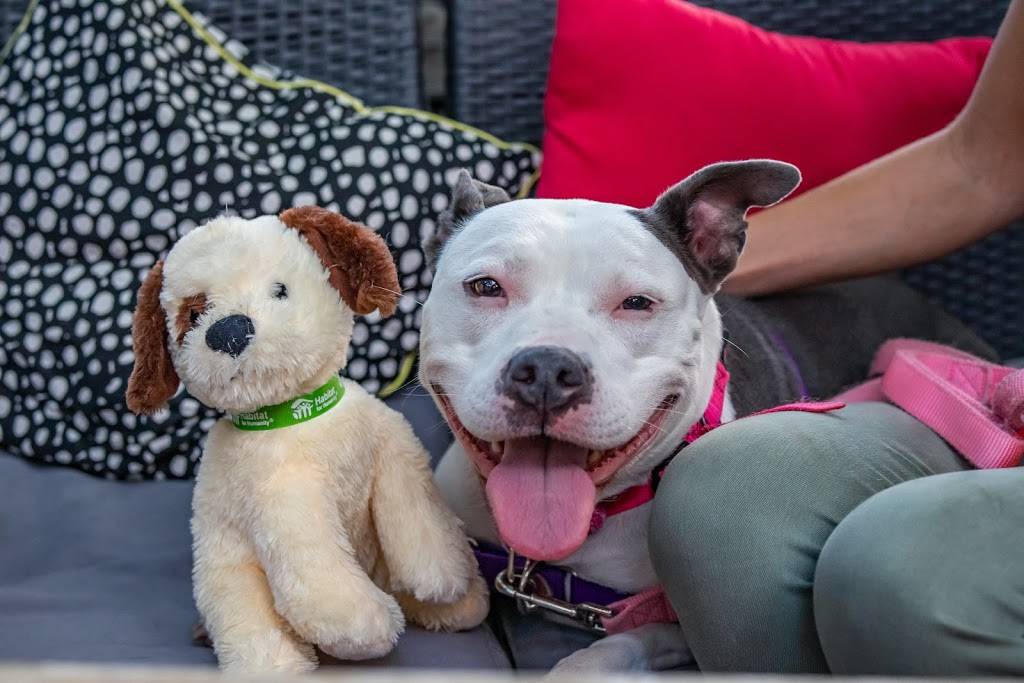 Germantown Garden | restaurant | 1029 Germantown Ave, Philadelphia, PA 19123, USA | 2672140086 OR +1 267-214-0086