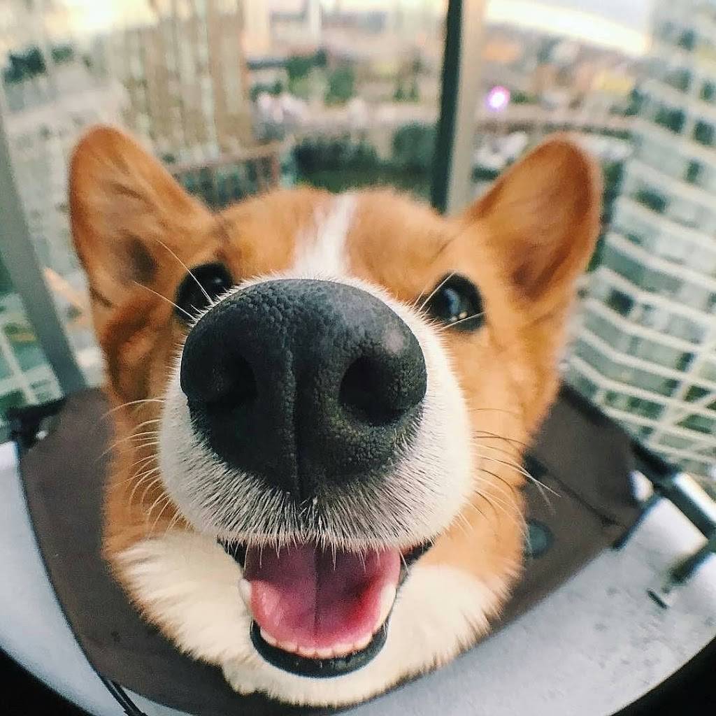 Chick-fil-A | restaurant | 24734 Southwest Fwy, Rosenberg, TX 77471, USA | 8325956800 OR +1 832-595-6800