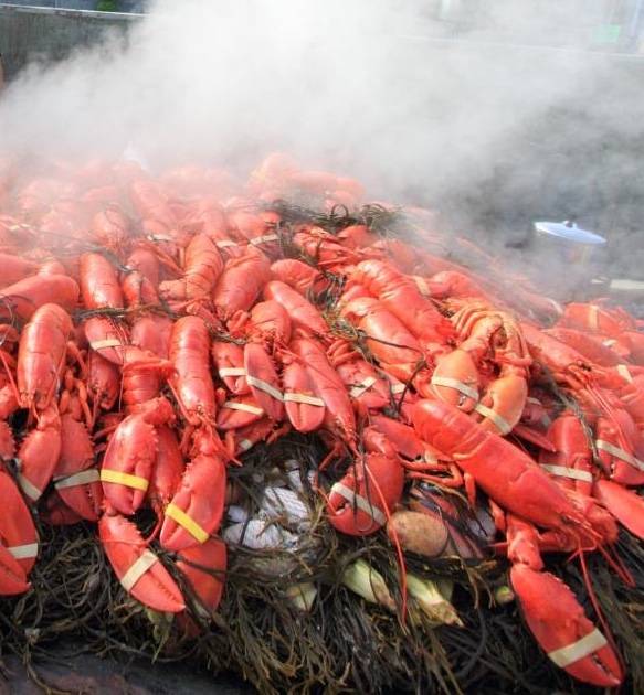 Pine Point Lobster Bakes | restaurant | Scarborough, ME 04074, USA | 2077668763 OR +1 207-766-8763