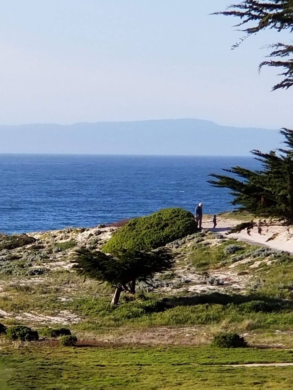 Dunes Shelter | restaurant | 2940 Old 17 Mile Dr, Pebble Beach, CA 93953, USA | 8316554275 OR +1 831-655-4275