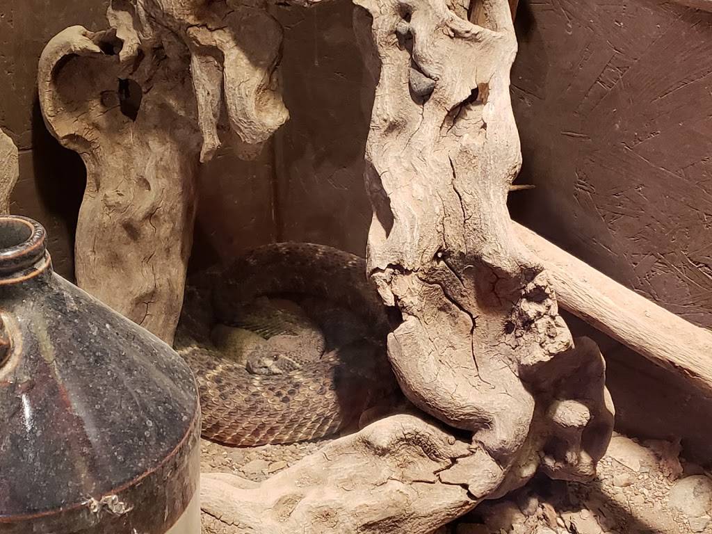 Chilleens On 17 | restaurant | 33150 S Coldwater Canyon Rd, Black Canyon City, AZ 85324, USA | 6233745552 OR +1 623-374-5552