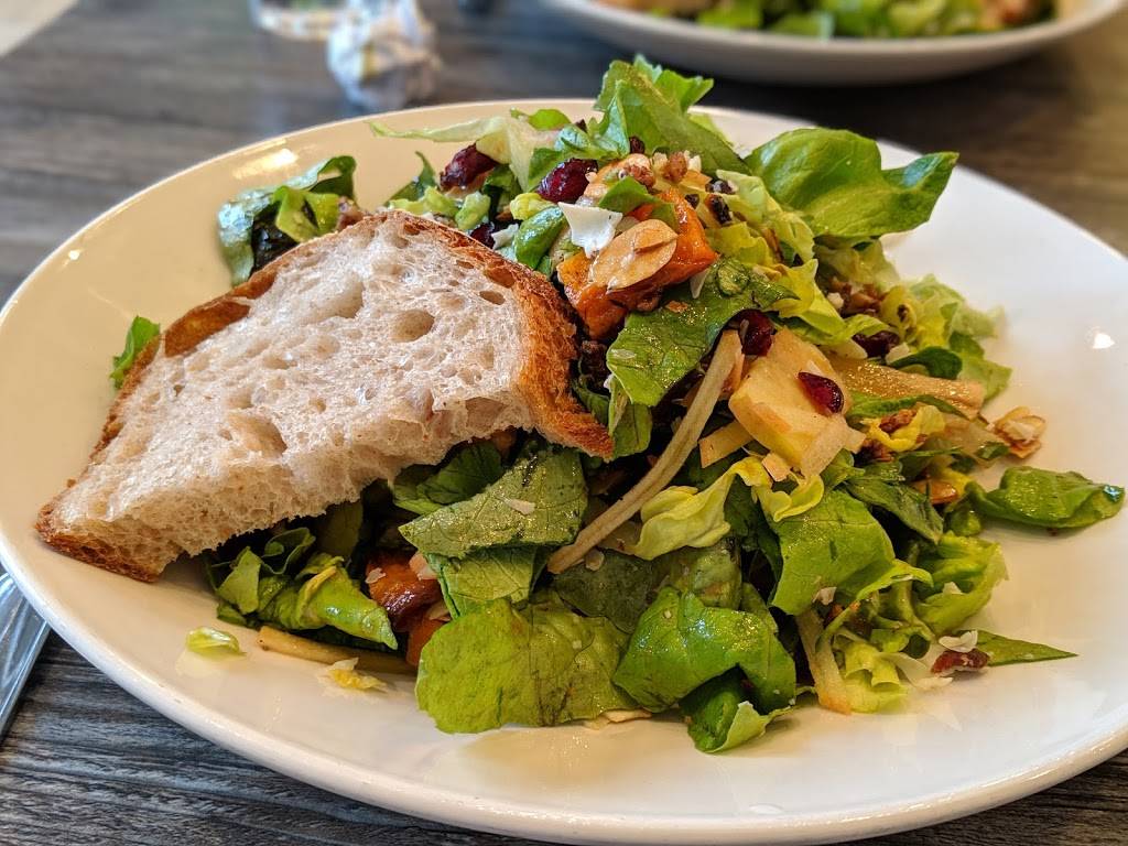 Sprout Café | restaurant | 168 University Ave, Palo Alto, CA 94301, USA | 6503237688 OR +1 650-323-7688