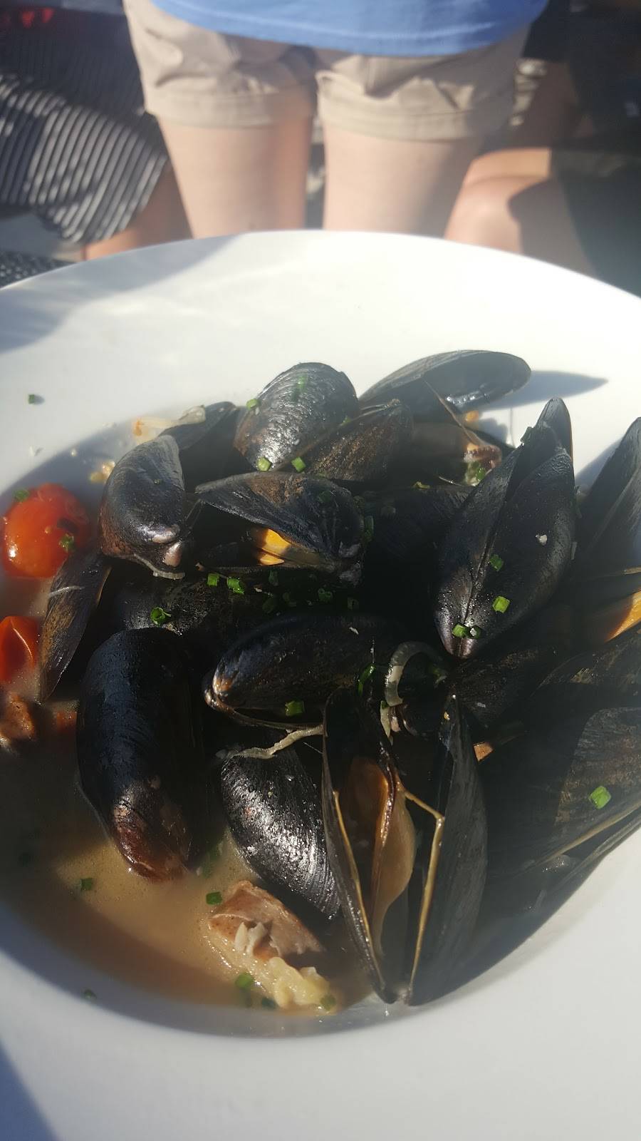 Backfin Blues Bar & Grill | restaurant | 517 W Rio Grande Ave, Wildwood, NJ 08260, USA | 6098544070 OR +1 609-854-4070