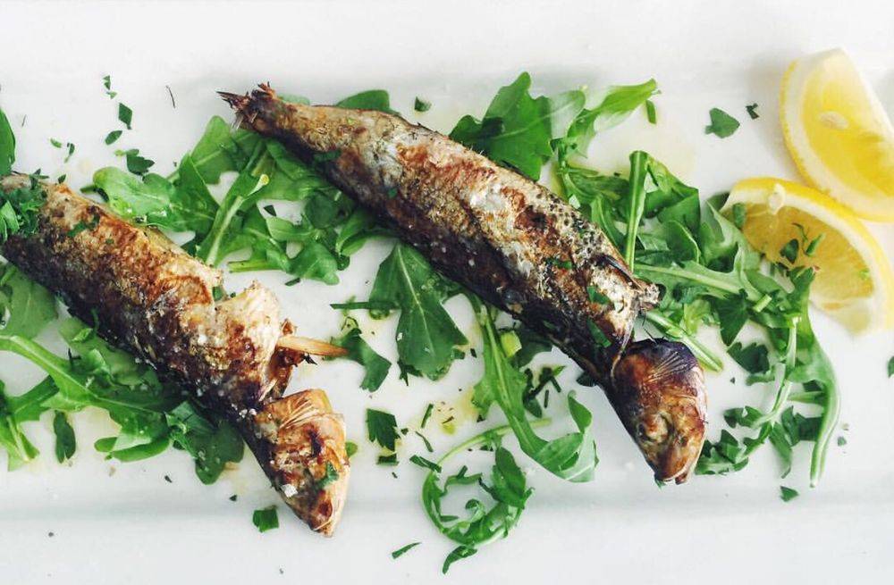 Blu Kouzina | restaurant | 34236, 25 N Boulevard of the Presidents, Sarasota, FL 34236, USA | 9413882619 OR +1 941-388-2619