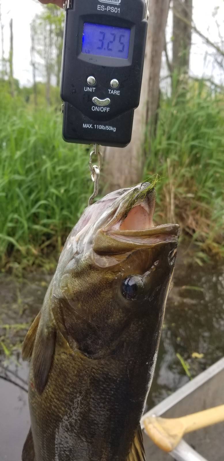 Culvers | restaurant | 2024 Elkhart Rd, Goshen, IN 46526, USA | 5746359966 OR +1 574-635-9966