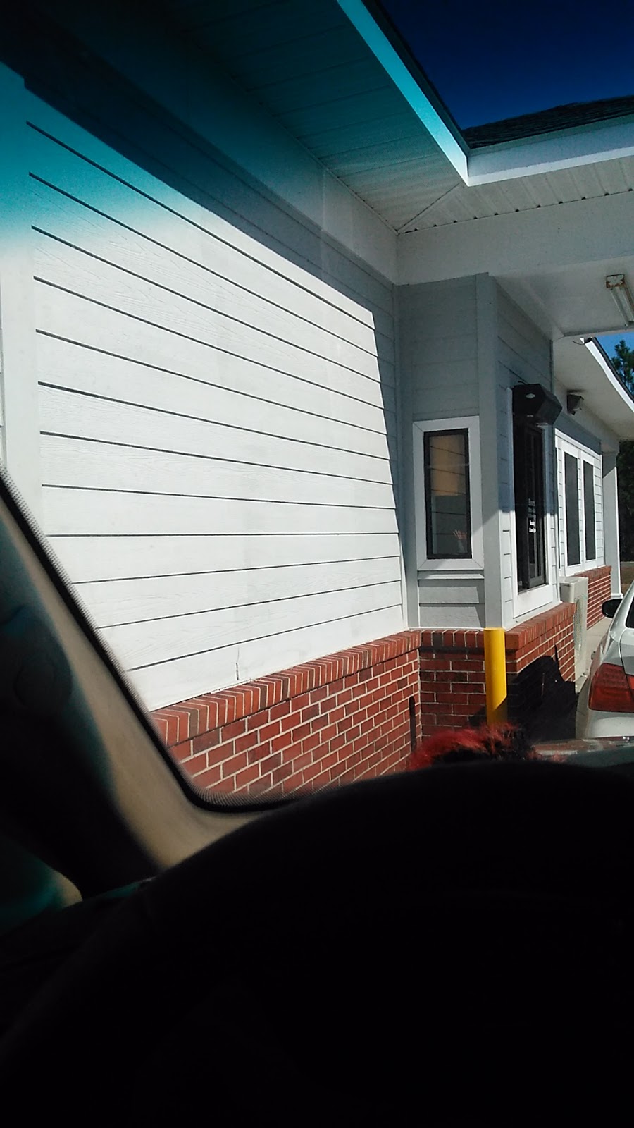 Carters Fried Chicken | restaurant | 277 Lakeview Dr, Homerville, GA 31634, USA | 9124872700 OR +1 912-487-2700