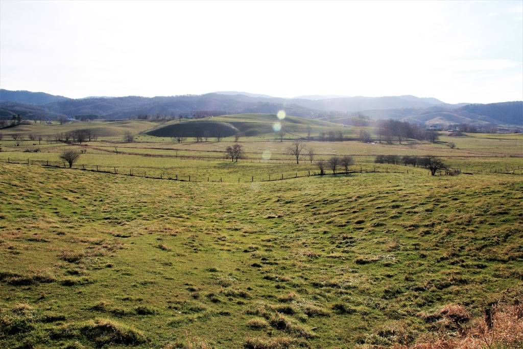 Valley Diner | restaurant | 9345 Elk Creek Pkwy, Elk Creek, VA 24326, USA | 2766559909 OR +1 276-655-9909