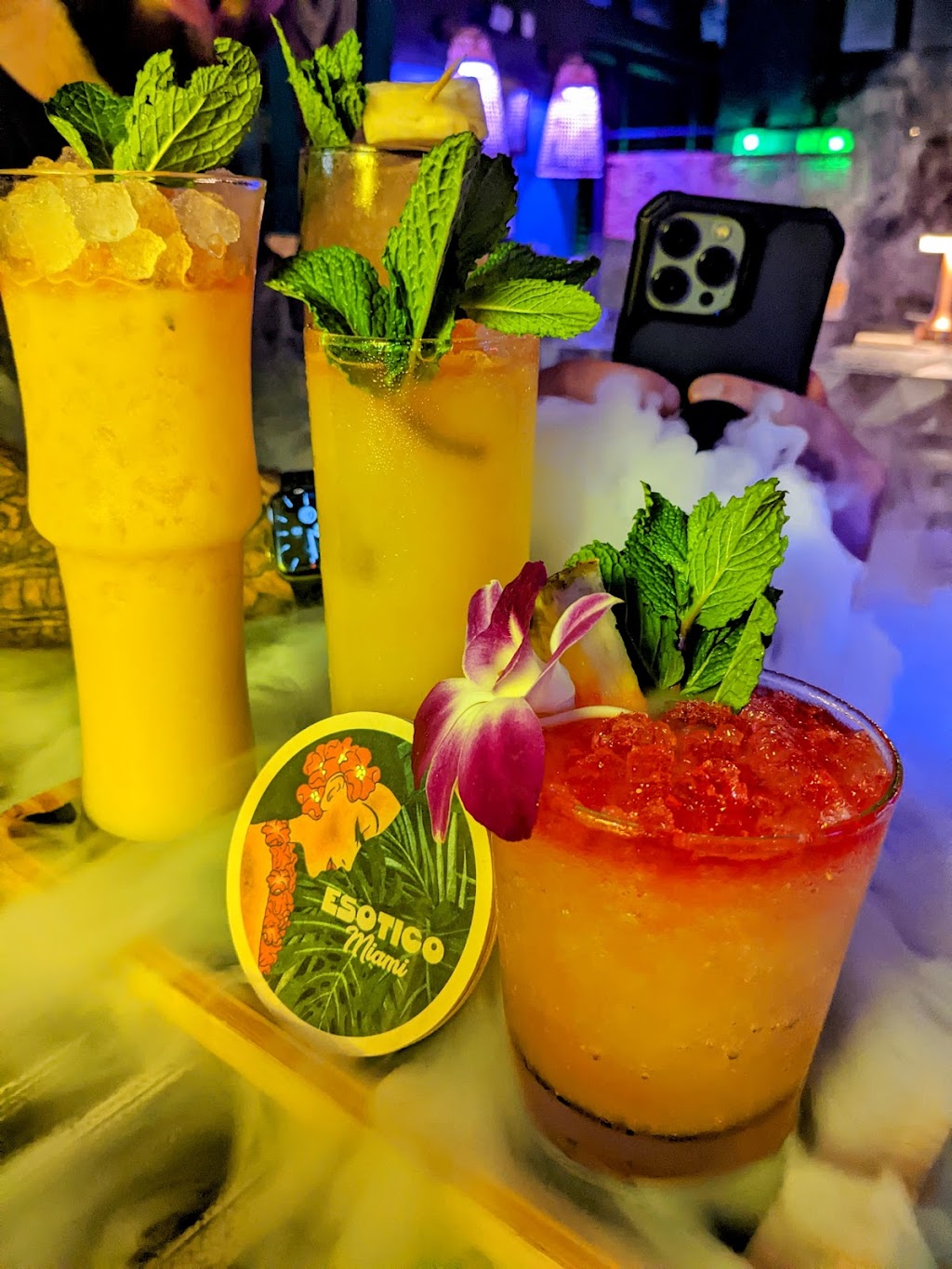 Esotico Miami | restaurant | 1600 NE 1st Ave #102, Miami, FL 33132, USA | 3058008454 OR +1 305-800-8454