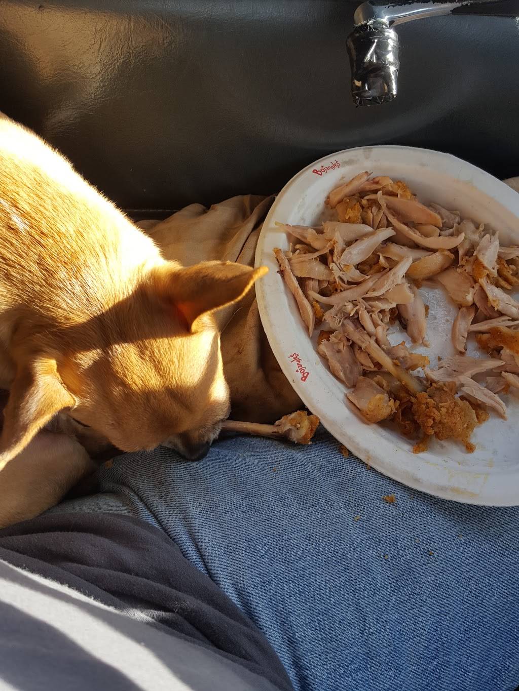 KFC | restaurant | 710 S Cumberland St, Lebanon, TN 37087, USA | 6154490971 OR +1 615-449-0971