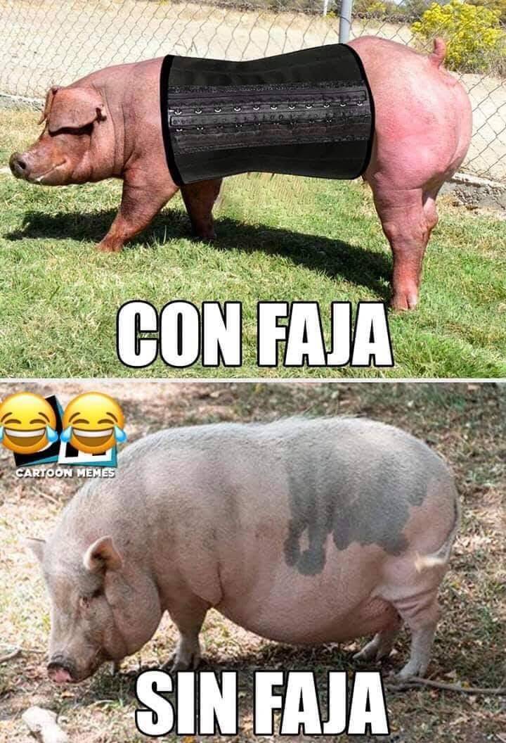 Dunkin | bakery | 197 S Rosemont Rd, Virginia Beach, VA 23452, USA | 7574984625 OR +1 757-498-4625