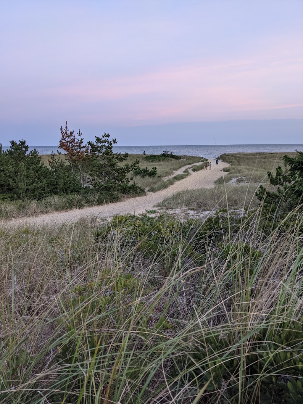 The Surf | restaurant | 160 Surfside Rd, Nantucket, MA 02554, USA | 5088255531 OR +1 508-825-5531