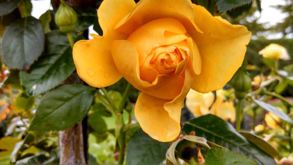 Valentinis Vicino Lago | restaurant | 1400 London Rd, Duluth, MN 55805, USA | 2187285900 OR +1 218-728-5900