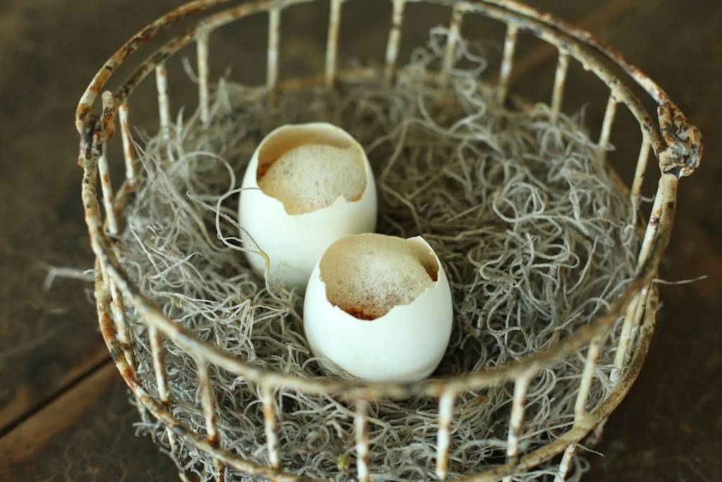 Vicia | restaurant | 4260 Forest Park Avenue Entrance On Boyle, At Corner Of, Duncan Ave, St. Louis, MO 63108, USA | 3145539239 OR +1 314-553-9239