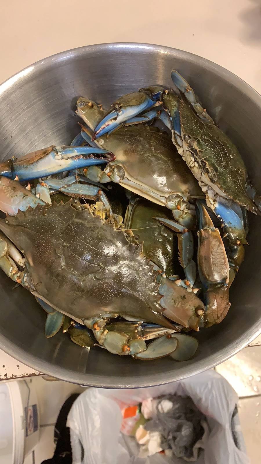 Judah & Son | restaurant | 13390 N Indian River Dr, Sebastian, FL 32958, USA | 7725895315 OR +1 772-589-5315