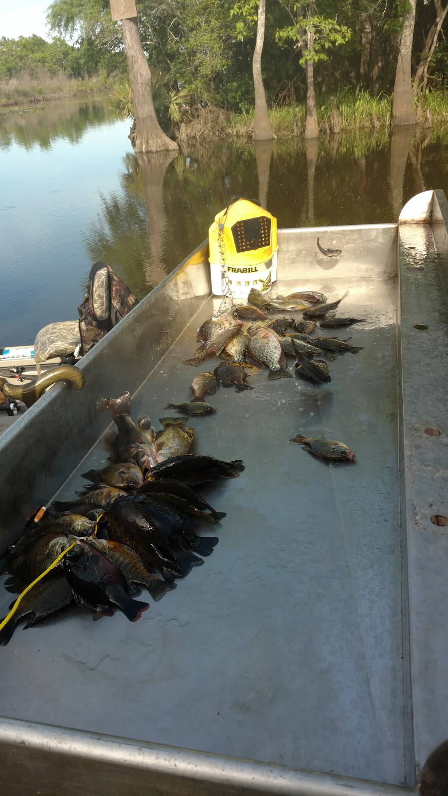 Bluebird Fish Camp | restaurant | 102 N Farragut Ave, Orange, TX 77630, USA | 4092385410 OR +1 409-238-5410