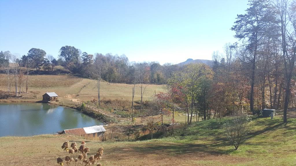 JOLO Winery & Vineyards | restaurant | 219 Jolo Winery Ln, Pilot Mountain, NC 27041, USA | 8555656946 OR +1 855-565-6946