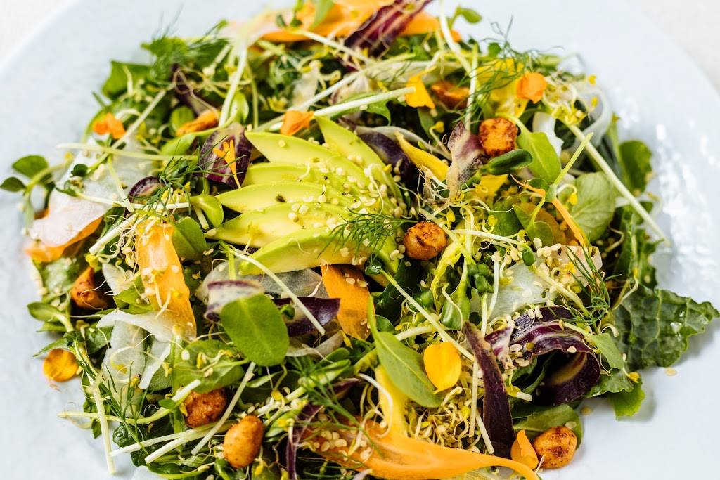 Plnthouse | restaurant | 2341 Collins Ave 6th floor, Miami Beach, FL 33139, USA | 3056046881 OR +1 305-604-6881