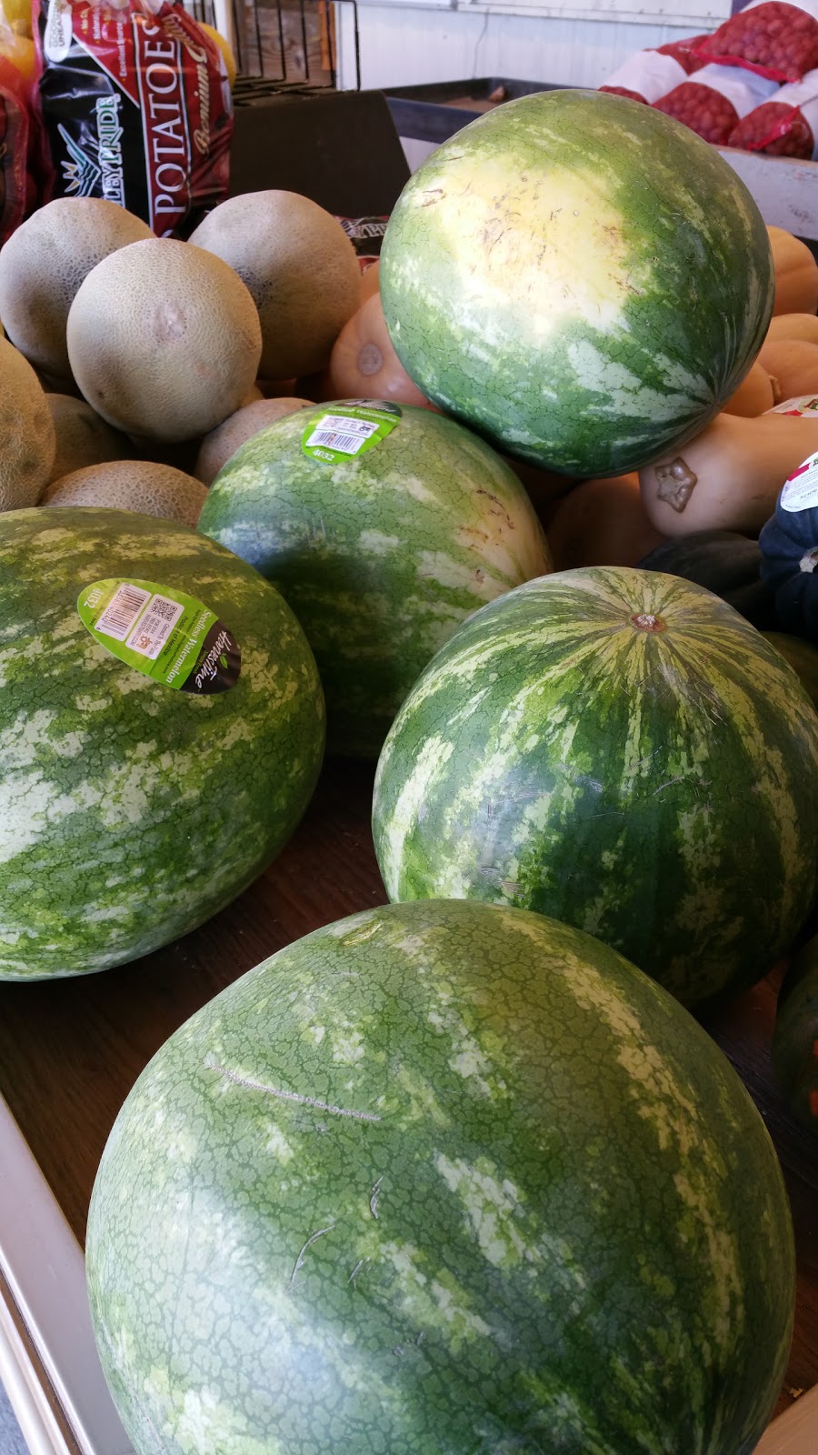 Coquille Valley Produce & Deli | meal takeaway | 454 OR-42, Coquille, OR 97423, USA | 5413963742 OR +1 541-396-3742