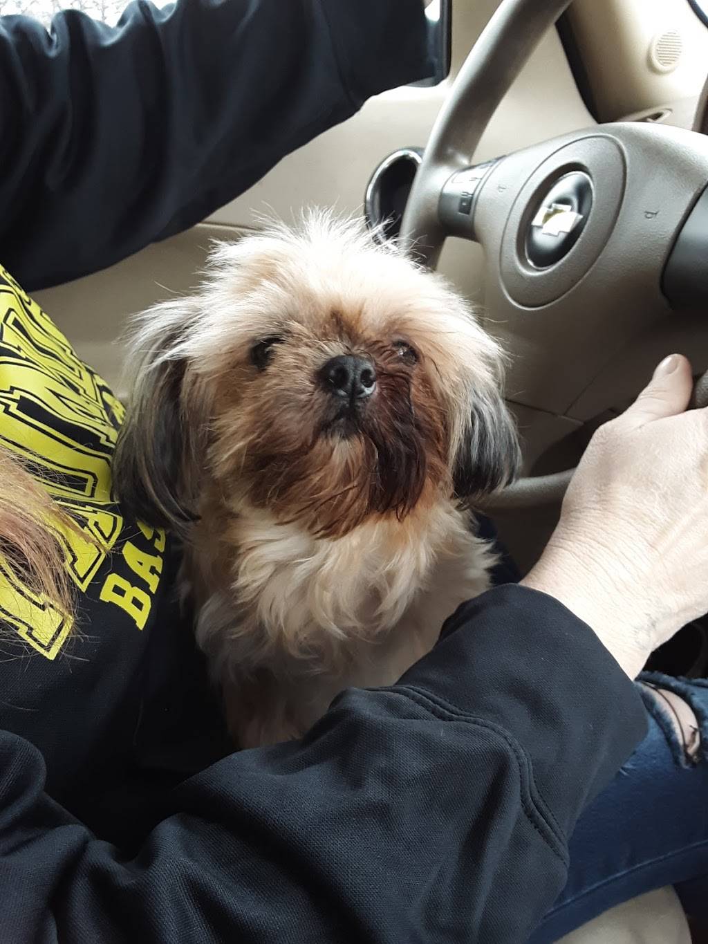 Long John Silvers | restaurant | 3152 E 51st St, Tulsa, OK 74105, USA | 9187491219 OR +1 918-749-1219