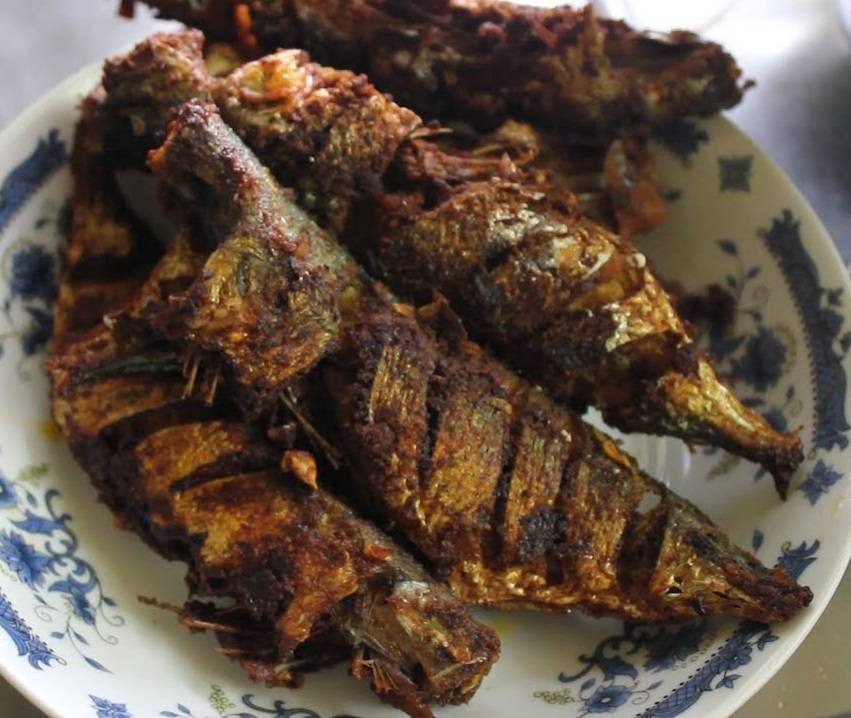 SJ Indian Restaurant | restaurant | 251 McLean Ave, Yonkers, NY 10705, USA | 9146237640 OR +1 914-623-7640