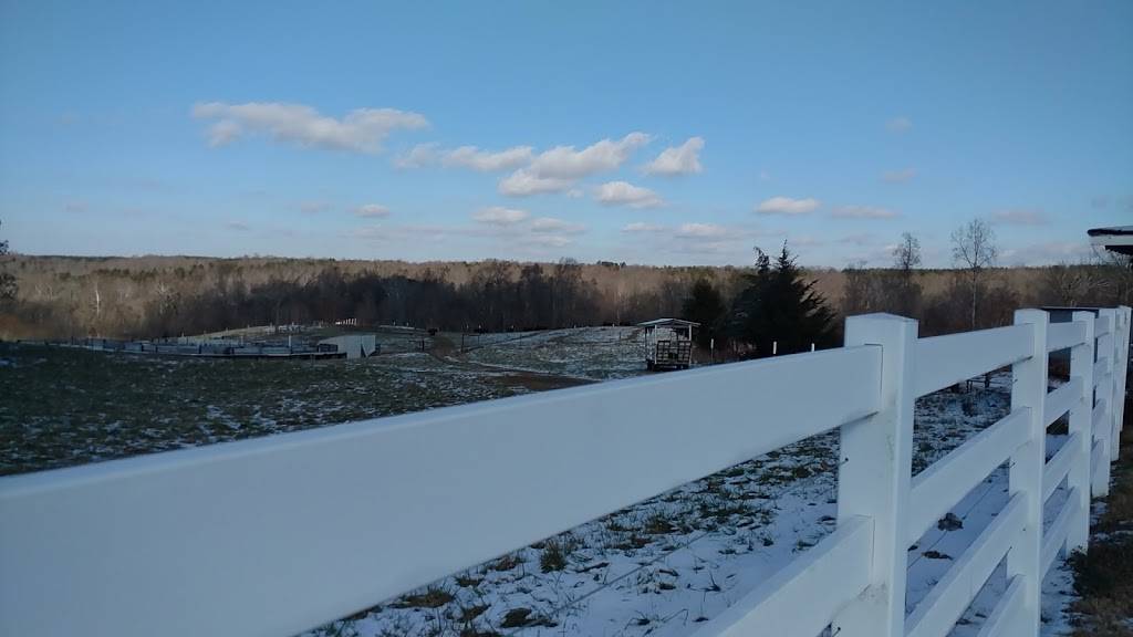 Sunset Ridge Buffalo Farm | restaurant | 465 Yarborough Rd, Roxboro, NC 27574, USA | 3365991297 OR +1 336-599-1297