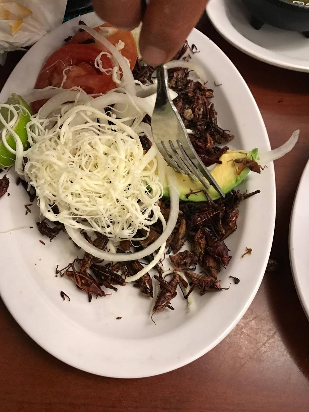 Real De Oaxaca | restaurant | 11215 Long Beach Blvd #1010, Lynwood, CA 90262, USA | 3108849234 OR +1 310-884-9234