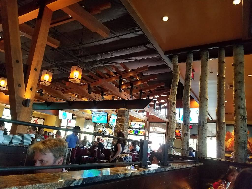 Lazy Dog Restaurant & Bar | restaurant | 1961 Diamond Blvd, Concord, CA 94520, USA | 9258491221 OR +1 925-849-1221