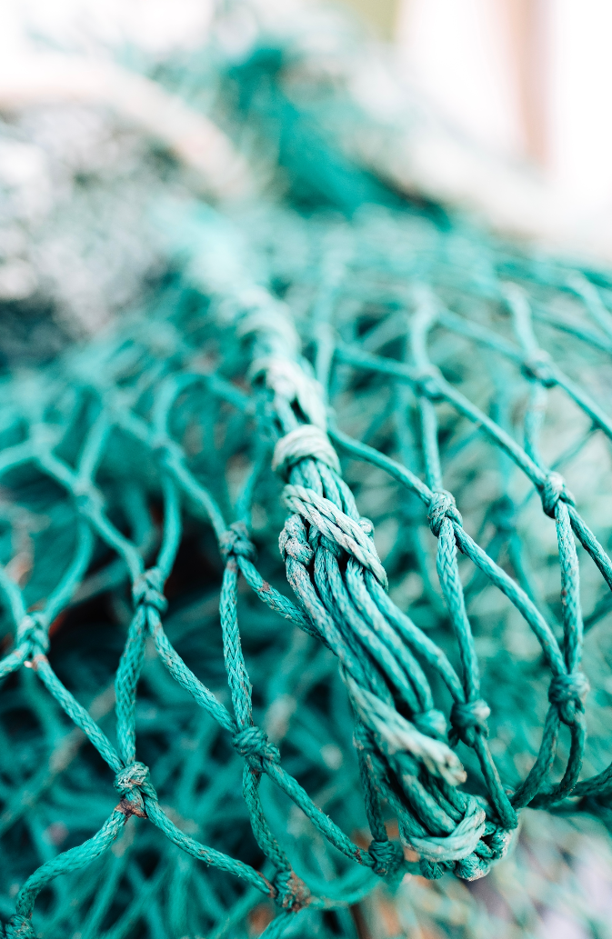 SUSTAINABOWL | restaurant | 8338 Lincoln Blvd, Los Angeles, CA 90045, USA | 9097878246 OR +1 909-787-8246