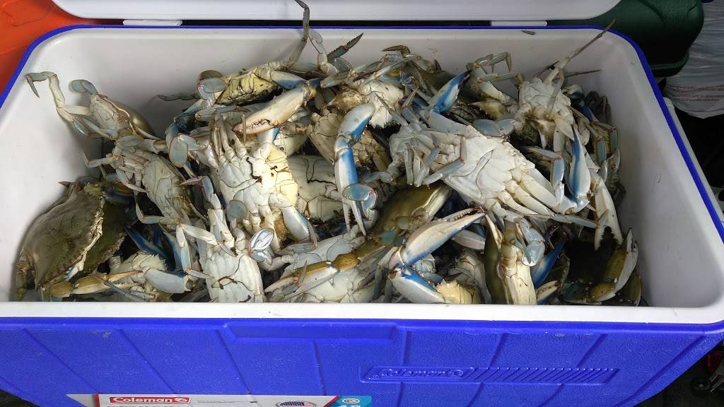 American Crab Co | restaurant | 2461 Route 1, Feasterville-Trevose, PA 19053, USA | 2152453222 OR +1 215-245-3222