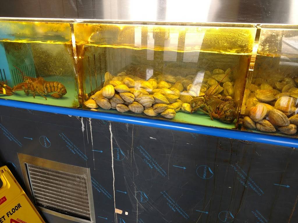 Lobster & Pho | restaurant | 6901 Rockside Rd, Independence, OH 44131, USA | 2165250028 OR +1 216-525-0028