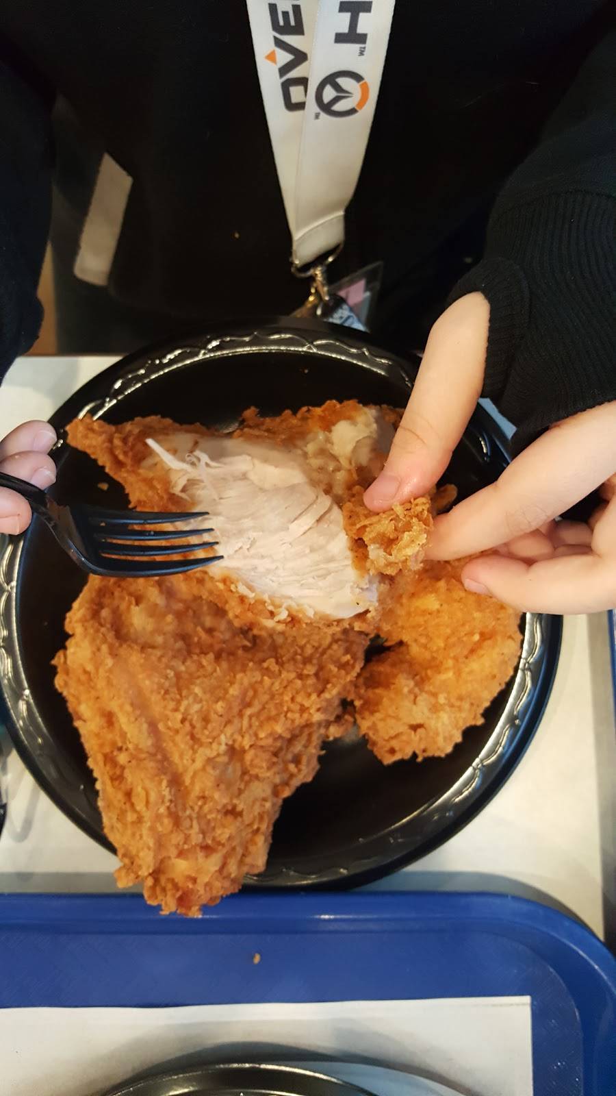 KFC | restaurant | 667 Royal Palm Beach Blvd, Royal Palm Beach, FL 33411, USA | 5617988803 OR +1 561-798-8803