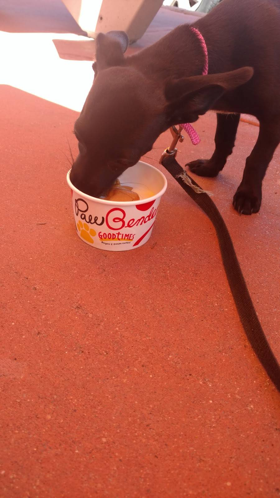 Good Times Burgers & Frozen Custard | restaurant | 3909 E Colfax Ave, Denver, CO 80206, USA | 3033211103 OR +1 303-321-1103