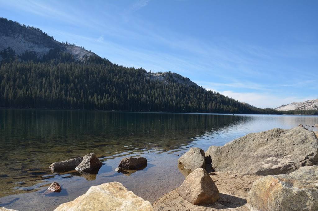 Starbucks | cafe | 1342 E F St C, Oakdale, CA 95361, USA | 2098452654 OR +1 209-845-2654