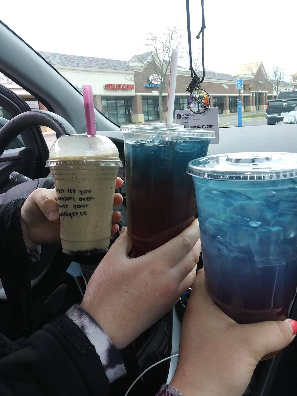 Novi Nutrition | restaurant | 31200 Beck Rd, Novi, MI 48377, USA | 2488595079 OR +1 248-859-5079