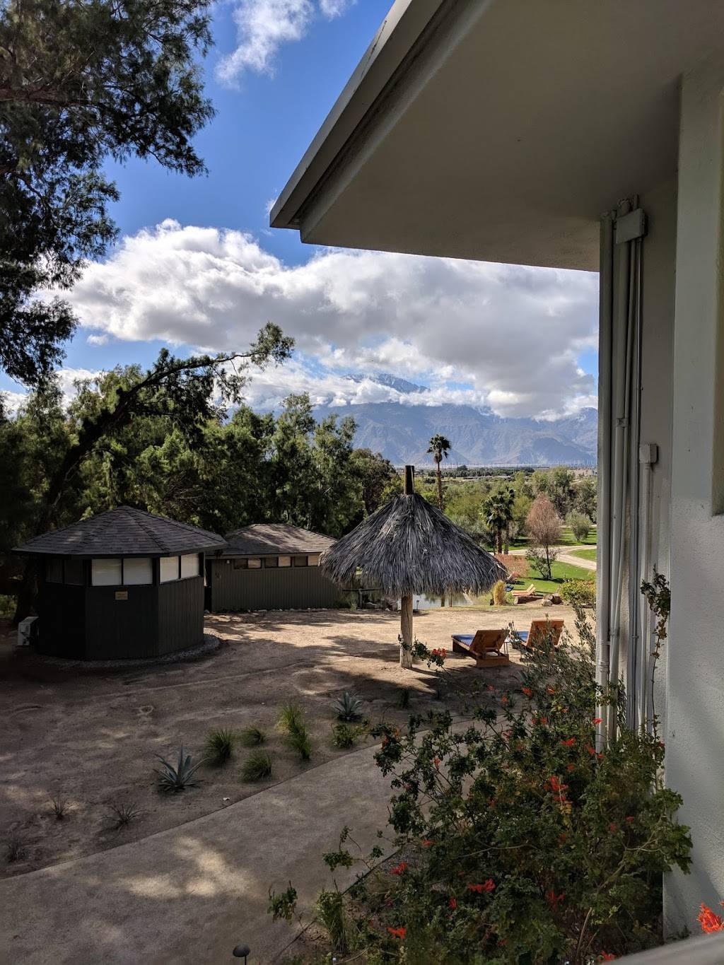 Essense | restaurant | 67425 Two Bunch Palms Trail, Desert Hot Springs, CA 92240, USA | 7603298791 OR +1 760-329-8791