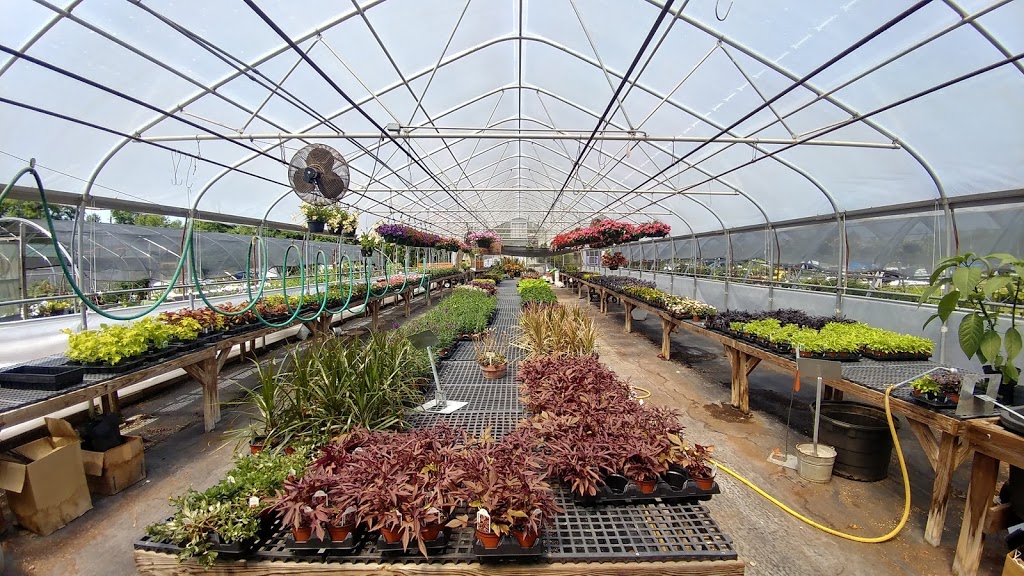 Farm 441 @ Thomas Orchards | restaurant | 6091 Macon Hwy, Bishop, GA 30621, USA | 7067695011 OR +1 706-769-5011