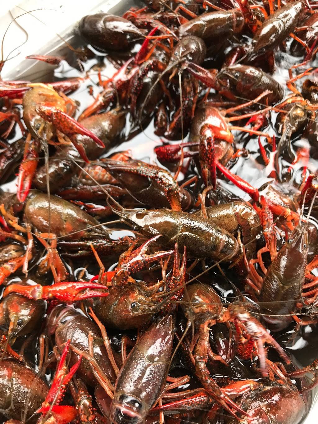 B & J Seafood | restaurant | 3211 Paris Rd, Chalmette, LA 70043, USA | 5042774888 OR +1 504-277-4888