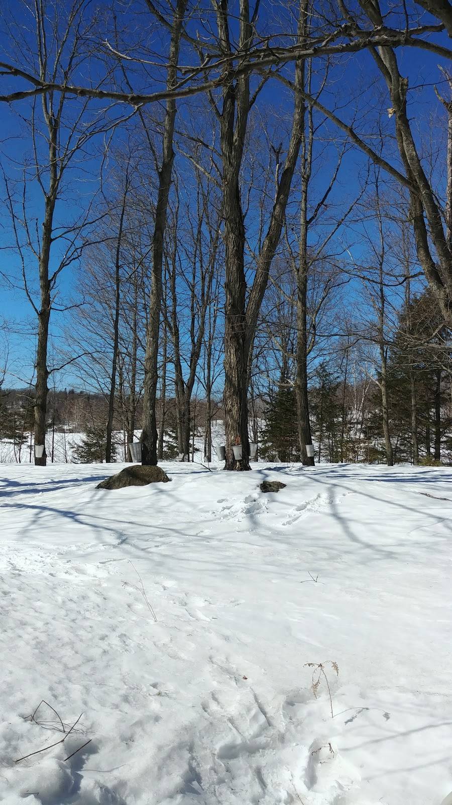 Cabane à Sucre Sincennes | restaurant | 63 Chemin dEardley, Sainte-Cécile-de-Masham, QC J0X 2W0, Canada | 8194562327 OR +1 819-456-2327