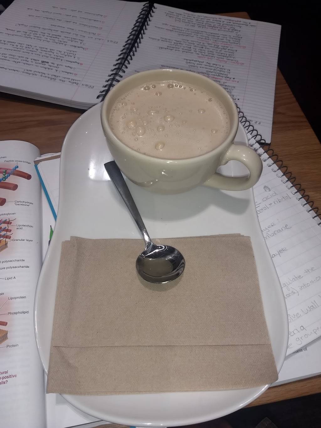 Panera Bread | cafe | 169 Plaza Dr, Vallejo, CA 94591, USA | 7075544865 OR +1 707-554-4865