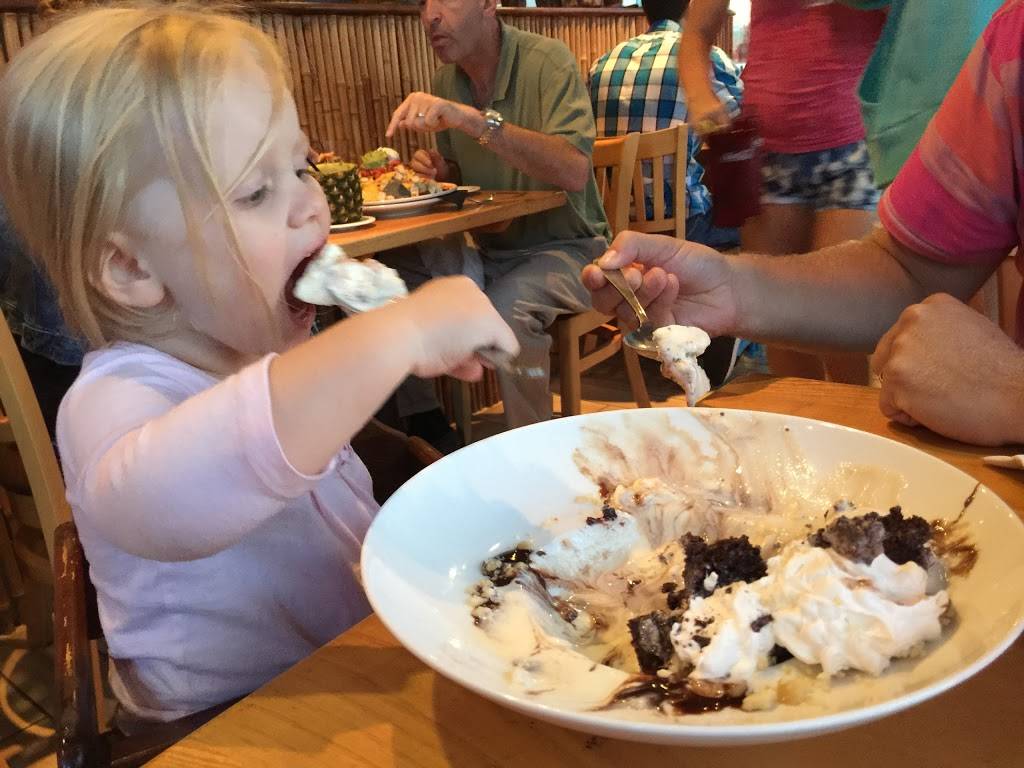 Nalu Dewey Beach | restaurant | 1308 Coastal Hwy, Dewey Beach, DE 19971, USA | 3022271449 OR +1 302-227-1449