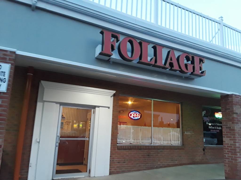 Foliage | restaurant | 45 Riverside Dr, Johnson City, NY 13790, USA | 6077988998 OR +1 607-798-8998
