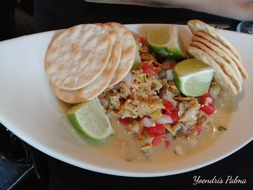 Terra Sur Cafe | cafe | 5358 W Village Dr, Tampa, FL 33624, USA | 8132692694 OR +1 813-269-2694