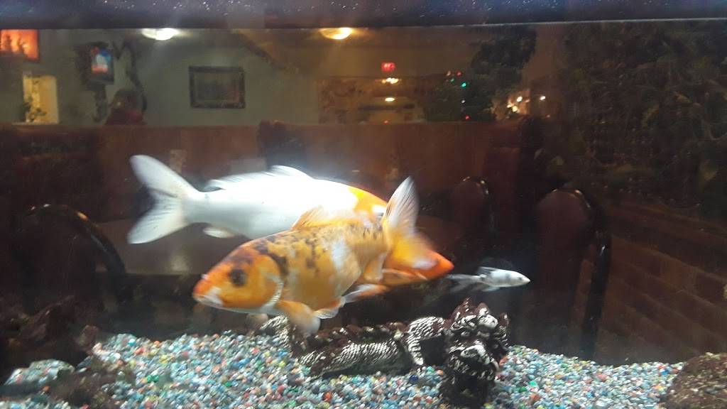 Golden Dragon Restaurant | restaurant | 6433 N Oracle Rd, Tucson, AZ 85704, USA | 5202971862 OR +1 520-297-1862