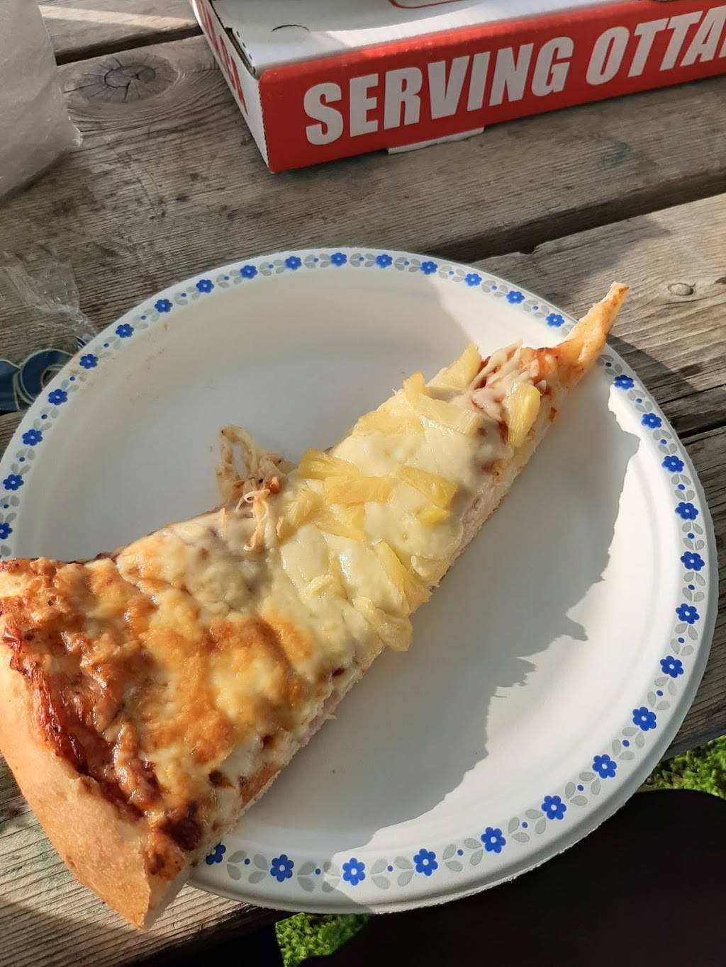 Willys Pizza | restaurant | 1541 Merivale Rd, Nepean, ON K2G 5W1, Canada | 6137231234 OR +1 613-723-1234