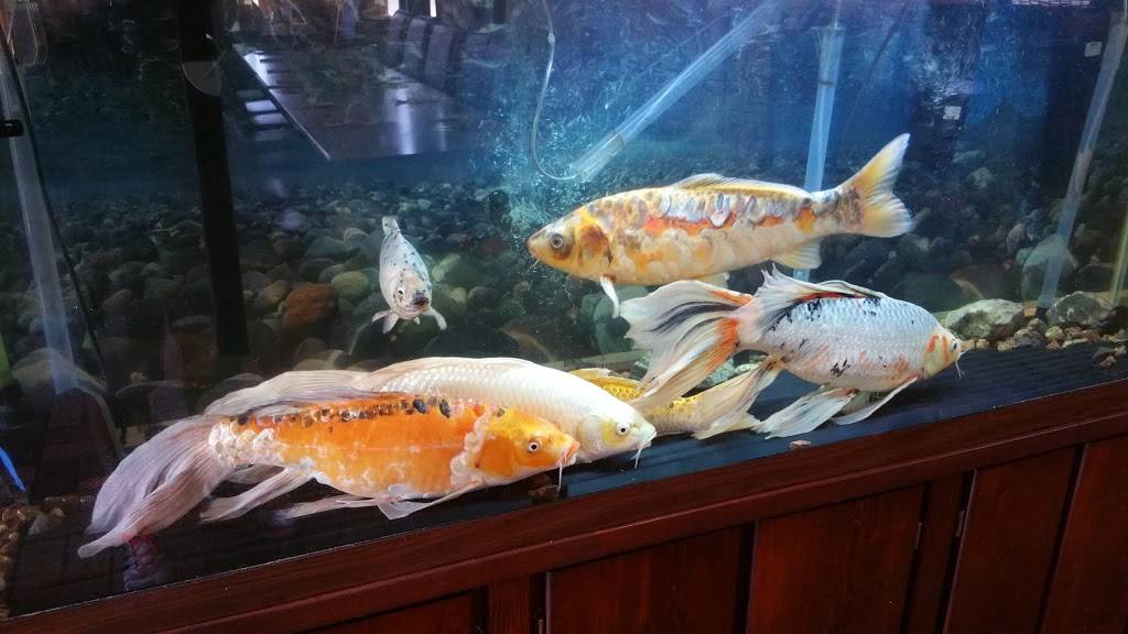 Osaki Japanese Restaurant | restaurant | 825 Main St W, Valdese, NC 28609, USA | 8284338882 OR +1 828-433-8882