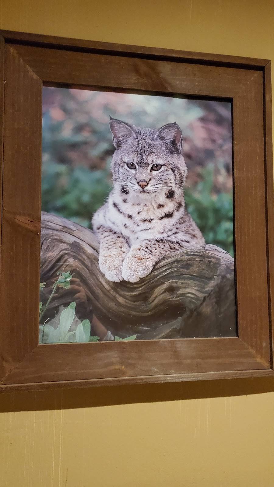 Chopsticks China Bistro | restaurant | 3822 Roswell Rd, Marietta, GA 30062, USA | 7709718118 OR +1 770-971-8118