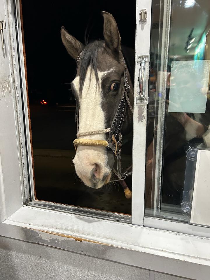 Taco Time | restaurant | 375 Uinta Dr, Green River, WY 82935, USA | 3078752257 OR +1 307-875-2257