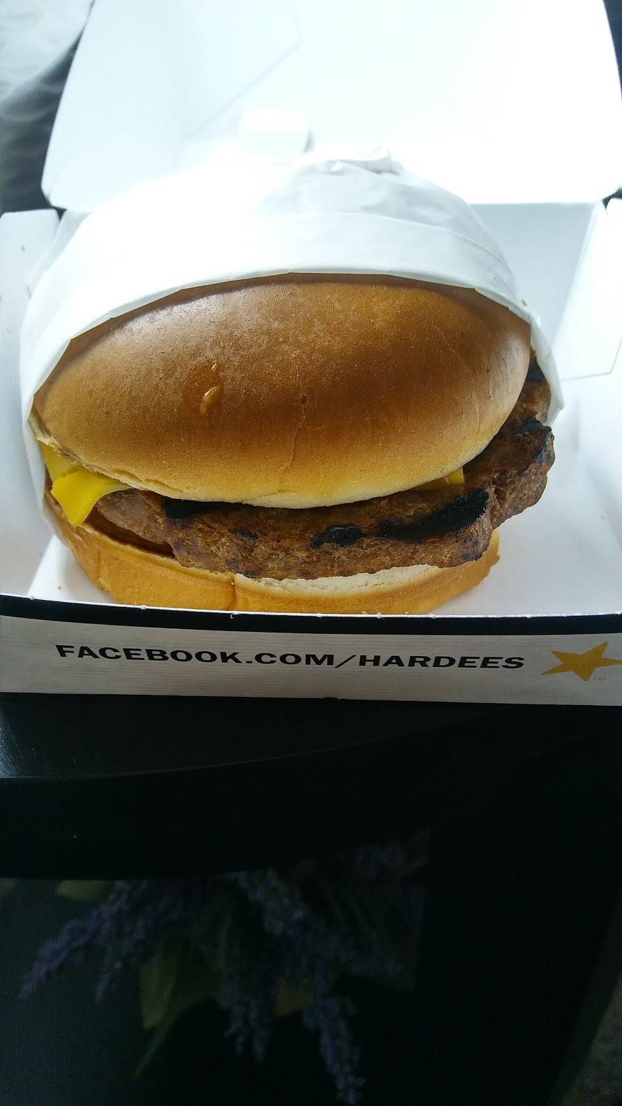 Hardees | restaurant | 5627 S Scatterfield Rd, Anderson, IN 46013, USA | 7656499247 OR +1 765-649-9247