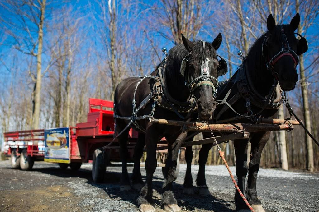 Érablière Raymond Meunier & Fils | restaurant | 325 Rang des Cinquante-Quatre, Richelieu, QC J3L 6R5, Canada | 4503470757 OR +1 450-347-0757